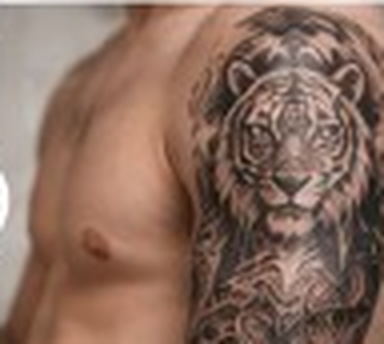 Tiger tattoo previewed on the chest